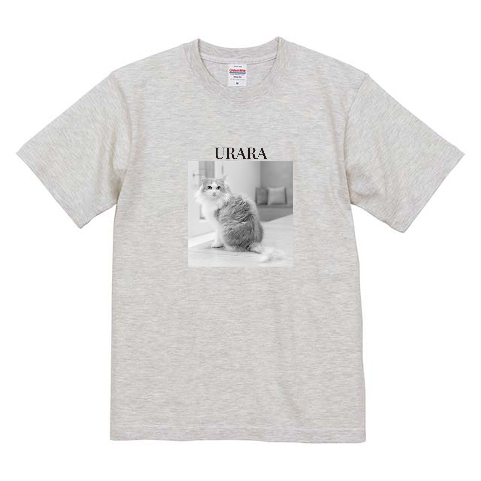 009