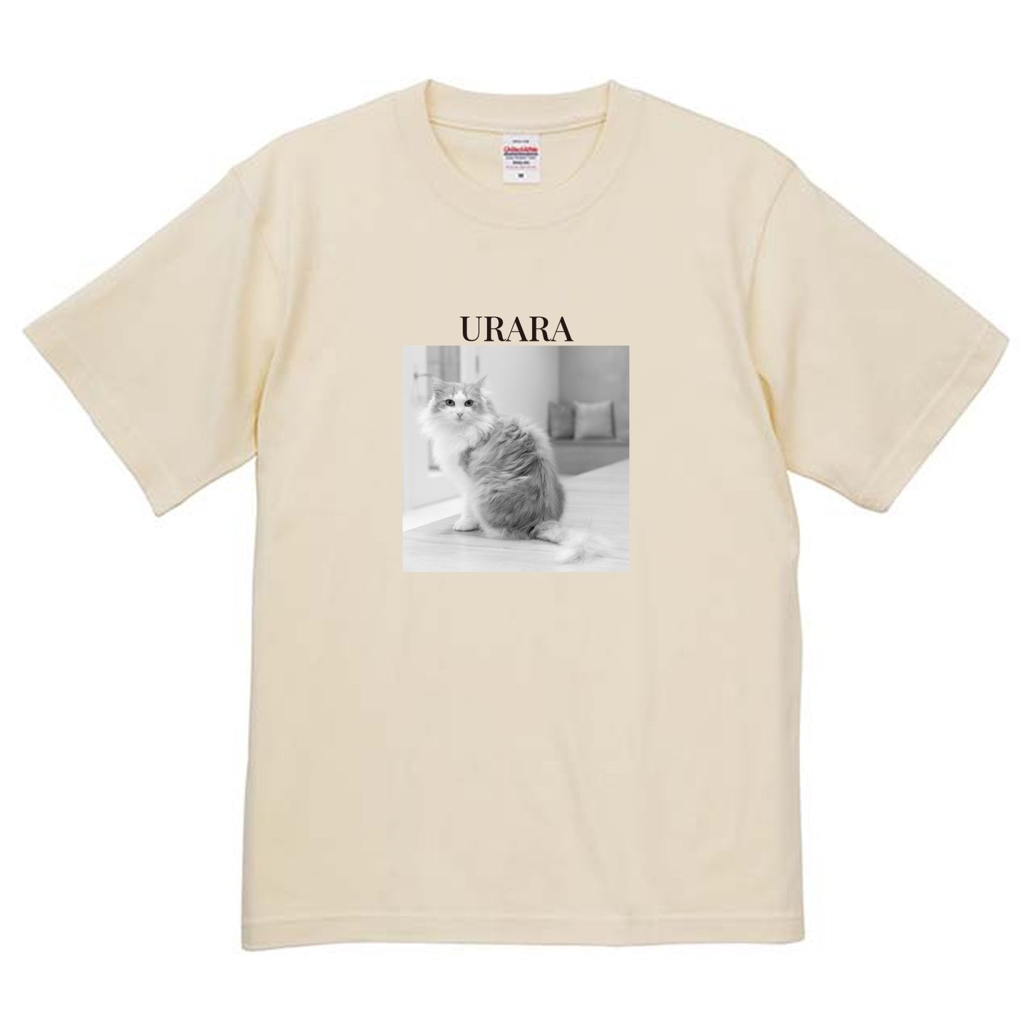019