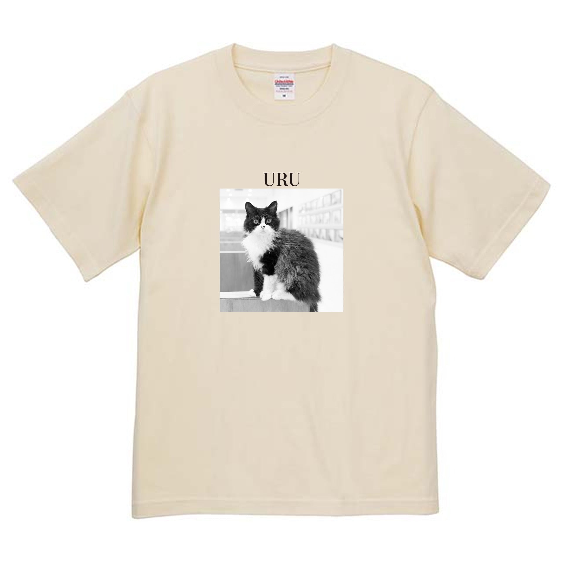 019