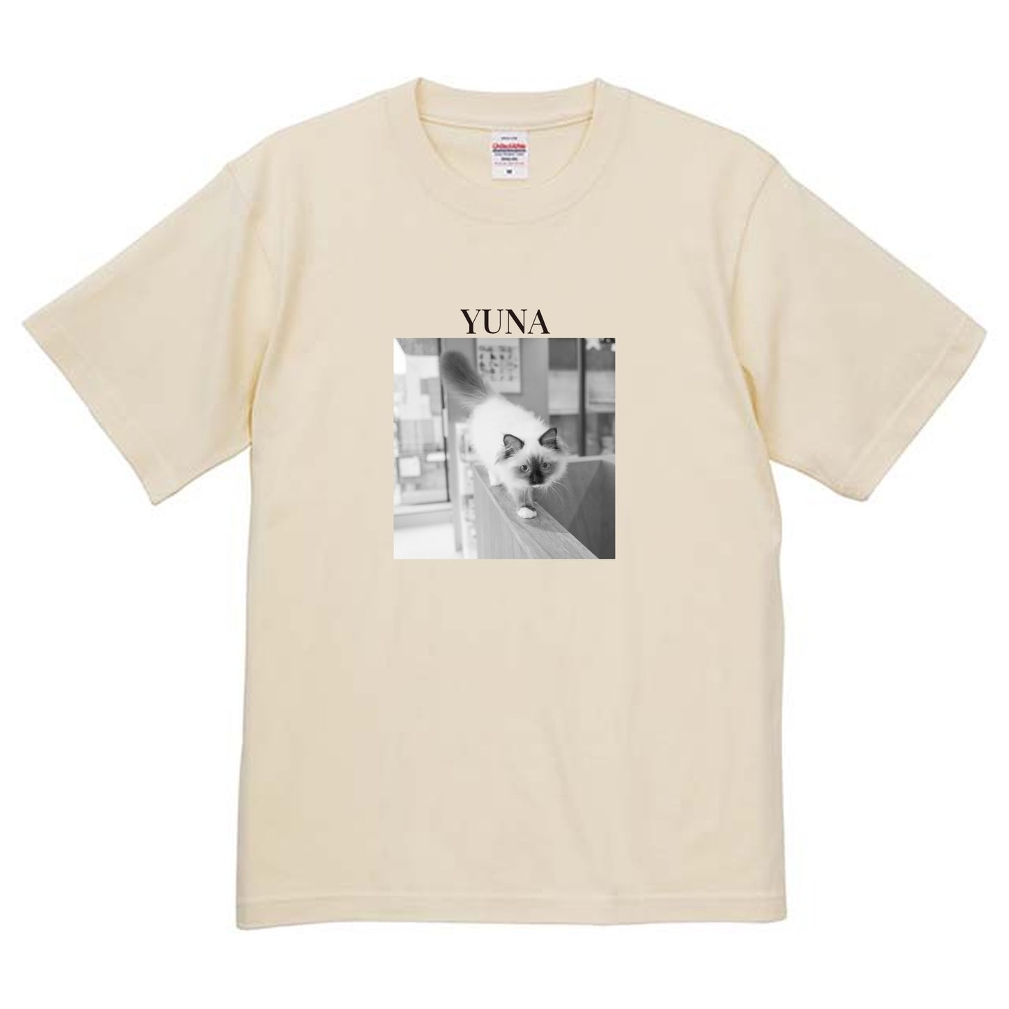 019