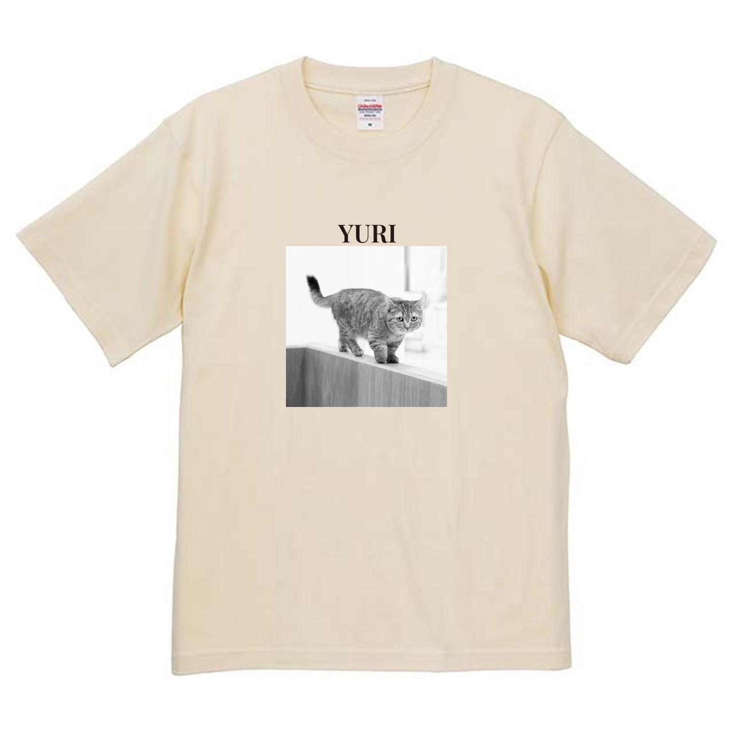 019