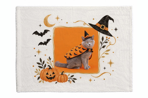 アッシュ ハロウィン限定ふわふわブランケット(S)