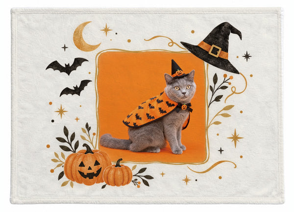 アッシュ ハロウィン限定ふわふわブランケット(M)