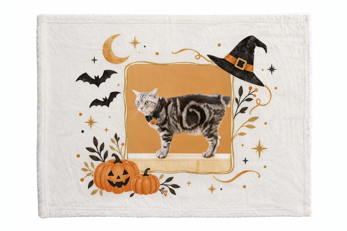茶々 ホワイト