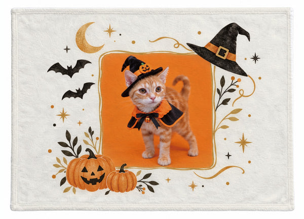 チェダー ハロウィン限定ふわふわブランケット（M）