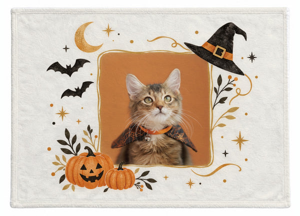 ダンデ ハロウィン限定ふわふわブランケット(M)