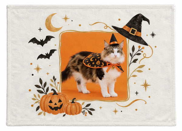 フィオ ハロウィン限定ふわふわブランケット（M）