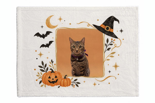 ヒロ ハロウィン限定ふわふわブランケット(S)