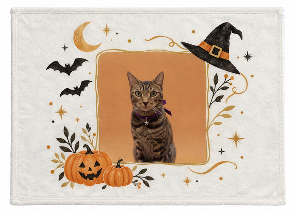 ヒロ ハロウィン限定ふわふわブランケット（M）