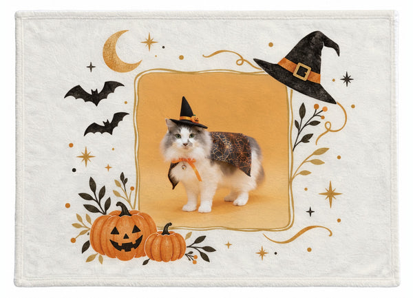 カイ ハロウィン限定ふわふわブランケット(M)