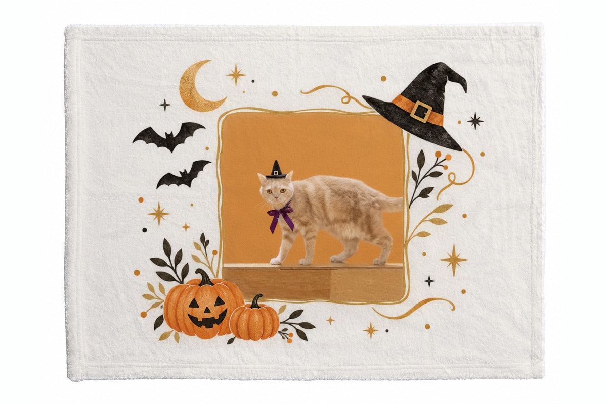 けい ホワイト