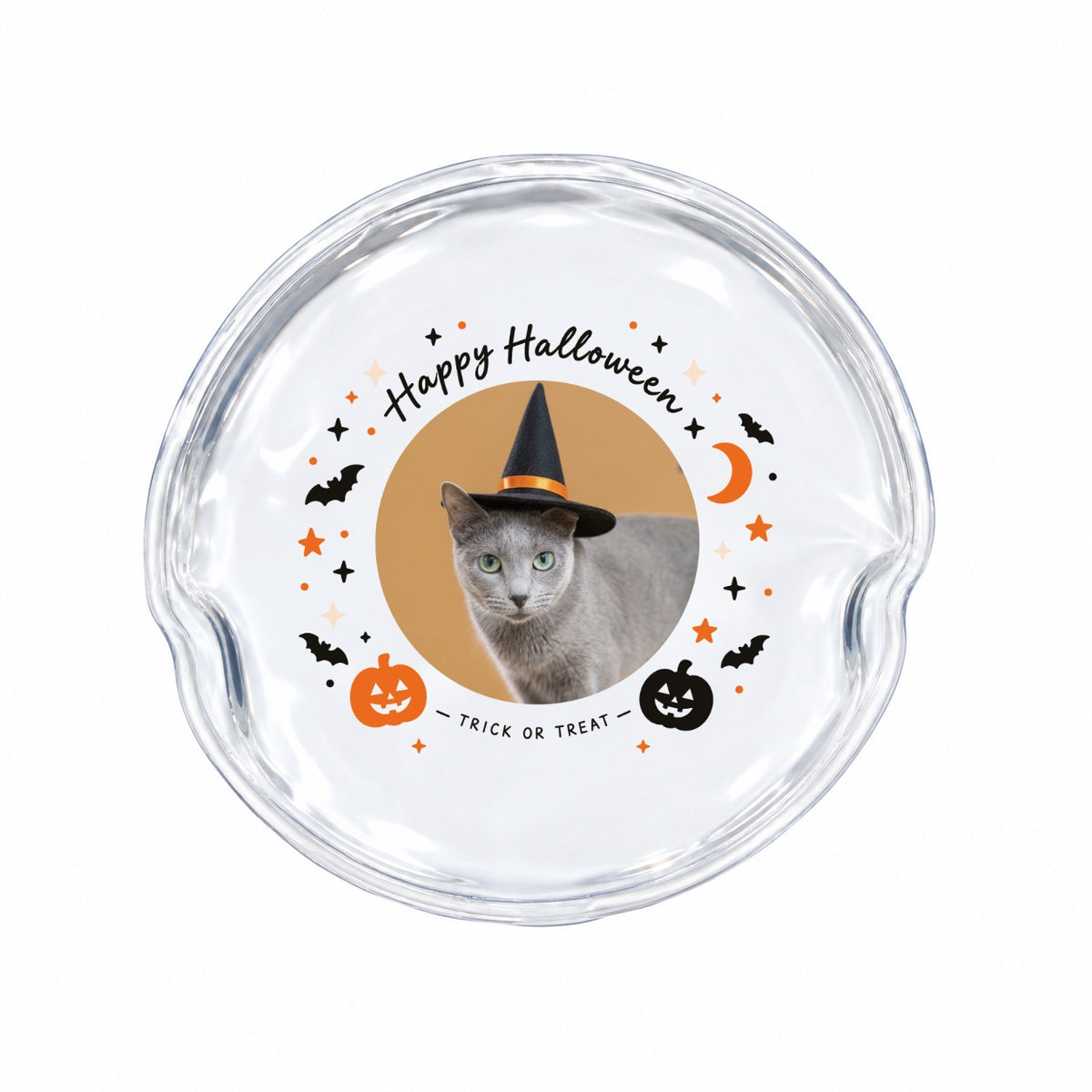 琴 クリア