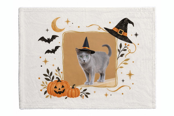 琴 ハロウィン限定ふわふわブランケット（S）