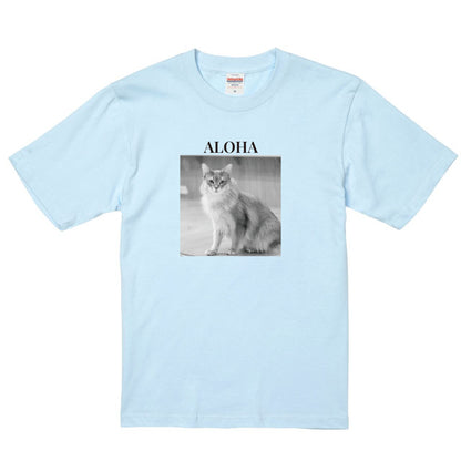 488