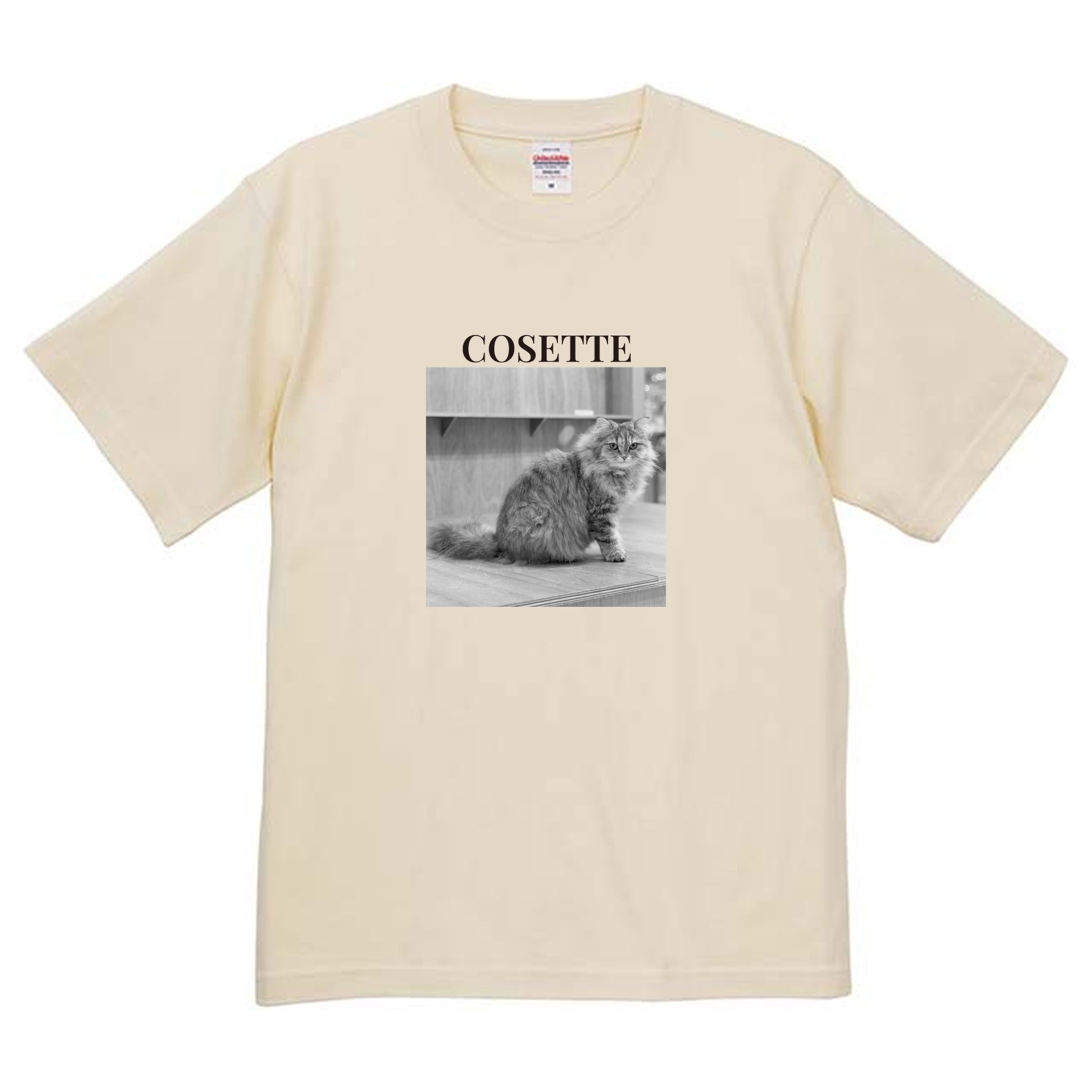 019