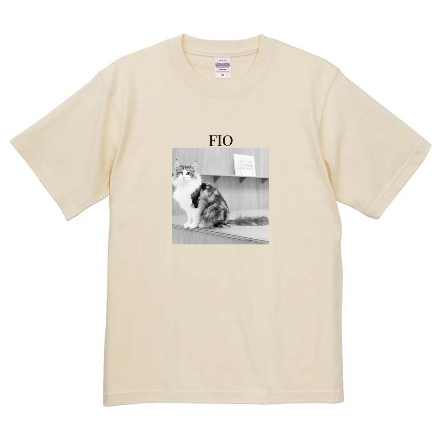 019