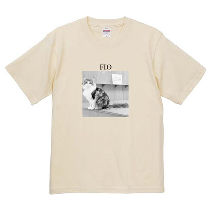 019