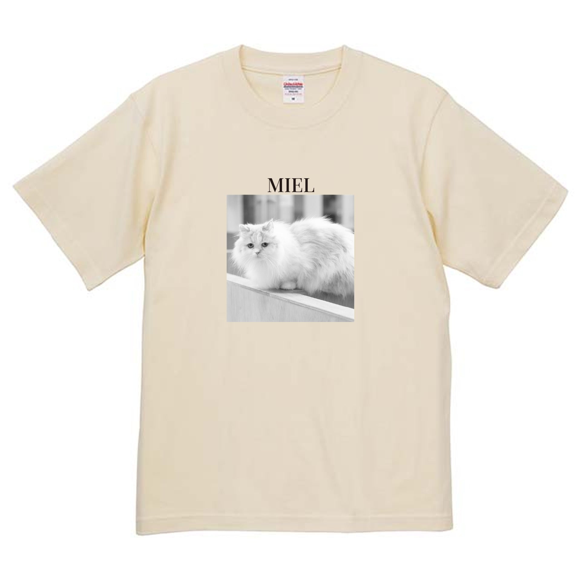 019
