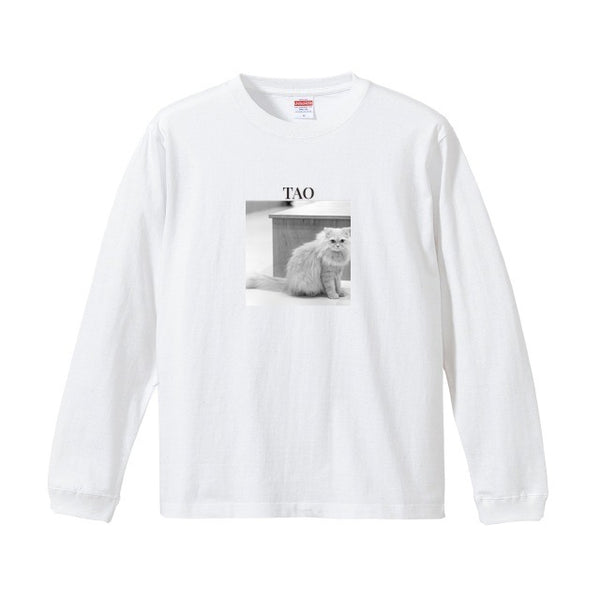 タオ コットンロングTシャツ