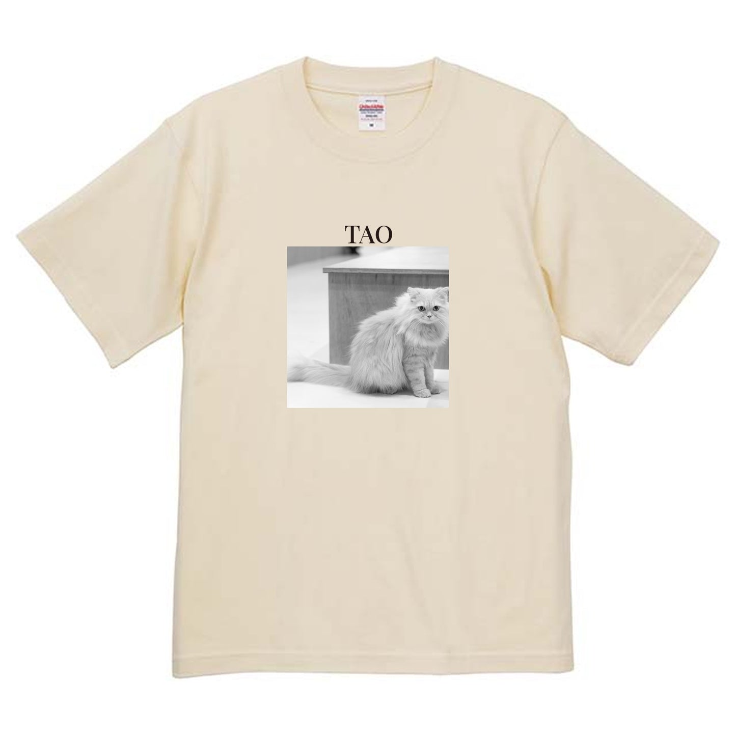 019