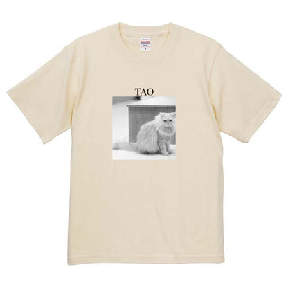 019