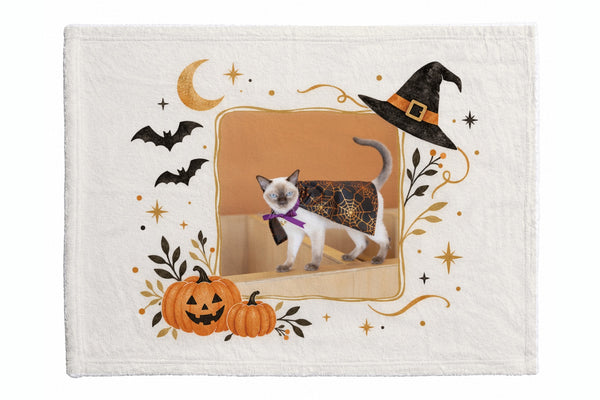 モアナ ハロウィン限定ふわふわブランケット(S)