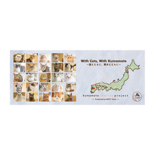 【熊本復興支援】熊本All Cats フェイスタオル