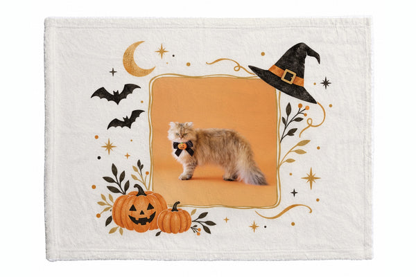 もろみ ハロウィン限定ふわふわブランケット（S）