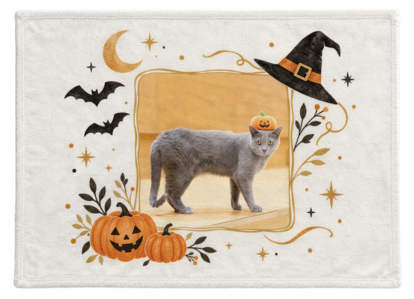 ムサシ ハロウィン限定ふわふわブランケット（M）