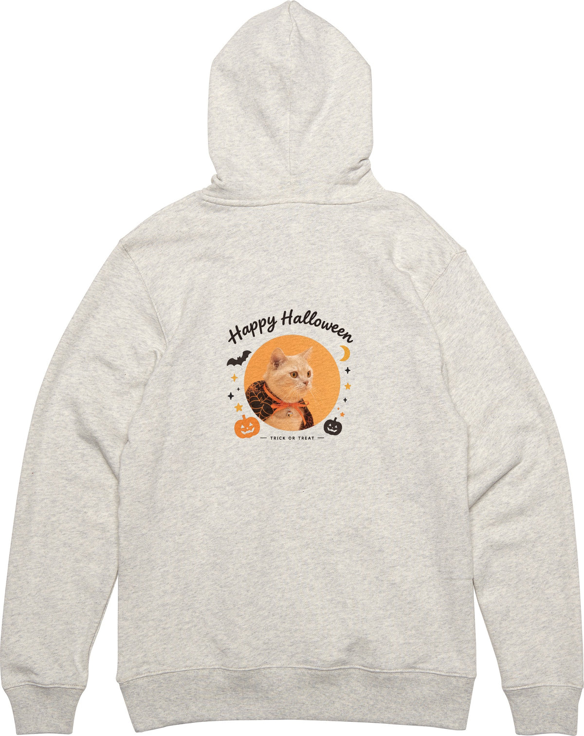 プリン オートミール