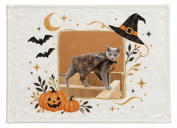 サラ ハロウィン限定ふわふわブランケット(M)