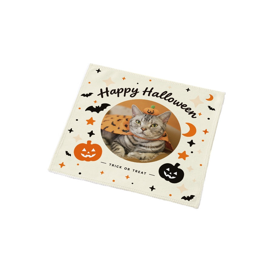 鰆 オフホワイト