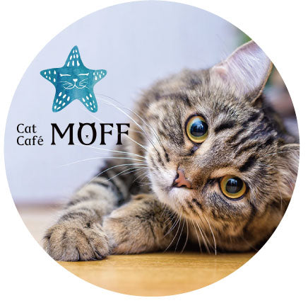 Cat Café MOFF