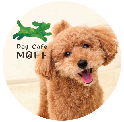 Dog Café MOFF