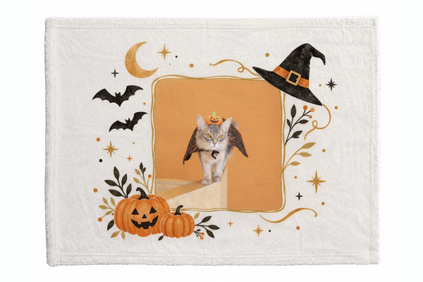 ゾロ ハロウィン限定ふわふわブランケット(S)