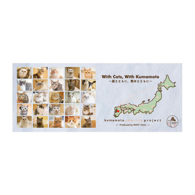 【熊本復興支援】熊本All Cats フェイスタオル